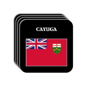  Ontario   CAYUGA Set of 4 Mini Mousepad Coasters 