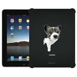  Papillon Puppy on iPad 1st Generation XGear Blackout Case 