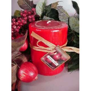  Apple Cider holiday Scented Round Pillar Candle 16 Oz 