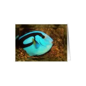  Aqua Blue Fish Photo, Blank Inside Card Health & Personal 