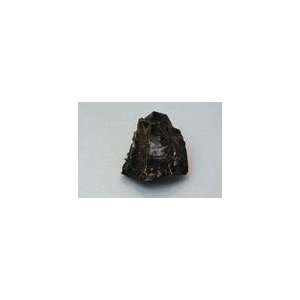SciEd Individual Rock Specimens Igneous Rocks; Obsidian, black; Qty 