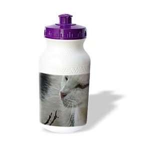   pet, pet portrait, tuxedo   Water Bottles  Sports