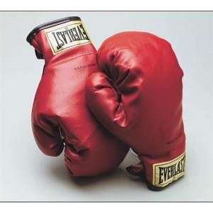  Everlast Laceless Youth Boxing Gloves