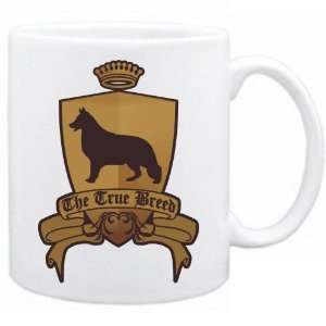  New  Shiloh Shepherd   The True Breed  Mug Dog