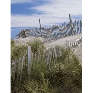  Dunes and Fence, Cape Hatteras, North Carolina   16x20 