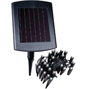 Solar Powered LED Plant and Border Light   By Maxsa Innovations   Item 