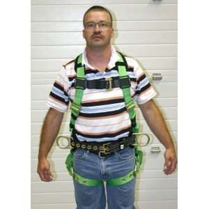  Body Harness With Tongue Buckle Legs And Back D Ring