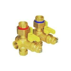   Valve Outlet   IPS Union x IPS from The Isolator E X P Series 40443