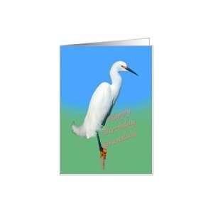  Birthday, Grandson, Snowy Egret Bird Card Toys & Games