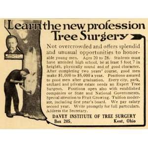  1913 Ad Davey Institute of Tree Surgery School Ohio 