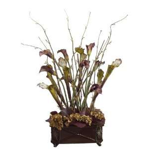   Pitcher Plant/Lily in Resin Container Burgundy Coffee