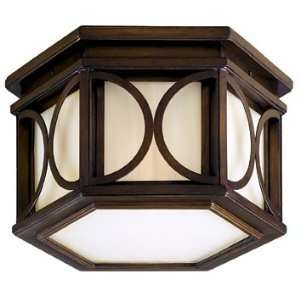  Moonscape Collection Outdoor Ceiling Light Fixture