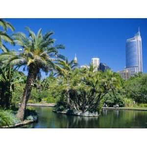  Royal Botanic Gardens, Sydney, Australia Photographic 