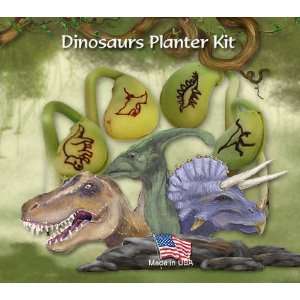    Magic Bean Wishes mbw 01k Dinosaur Planter Kit Toys & Games