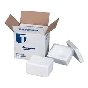  ThermoSafe Insulated Shippers, Foam Shipper, Thin Wall 