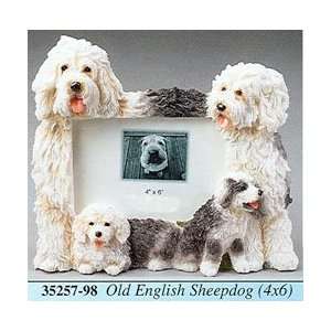  Old English Sheep Dog 4x6 Picture Frame