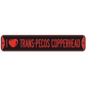     I LOVE TRANS PECOS COPPERHEAD  STREET SIGN