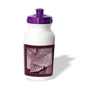   leaves with rich burgundy frame   Water Bottles