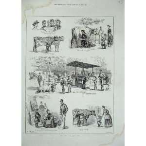  1885 Milk Fair St JamesS Park Animals Cows Dadd Print 