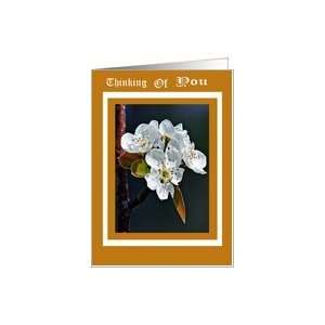  Thinking of You Apple Blossom Card Card Health & Personal 