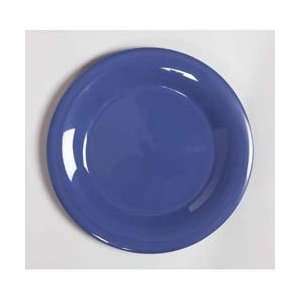   Mardi Gras Melamine Dinnerware 10 1/2 Wide Rim Plate