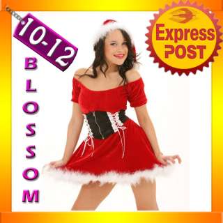 7105 Santa Claus Christmas Fancy Dress Costume M/L10/12  