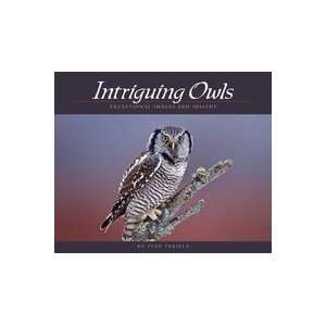  Adventure Publications Intriguing Owls 