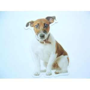  Jack Russell Terrier Reusable Double Sided Window Sticker 