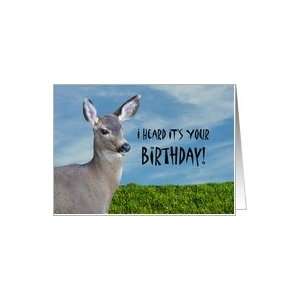  Humorous Funny Deer Doe Birthday Card Health & Personal 