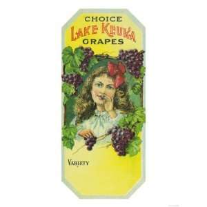  Penn Yan, New York   Variety Choice Lake Keuka Grapes 