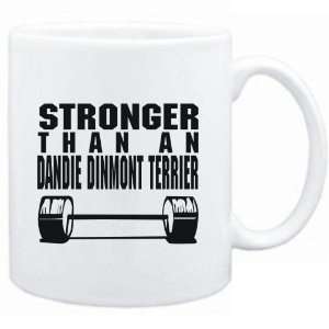    STRONGER THAN A Dandie Dinmont Terrier  Dogs