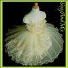 D13 Flower Girls/Pageant/Wedding/Party Dress 8 10 Years  