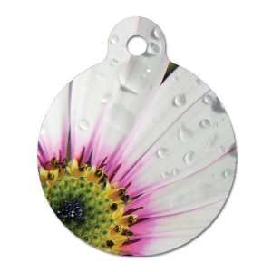  Heart of A Daisy   Pet ID Tag, 2 Sided Full Color, 4 Lines 