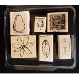 Stampin Up ALL NATURAL Set of 6 Decorative Rubber Stamps Retired 2003