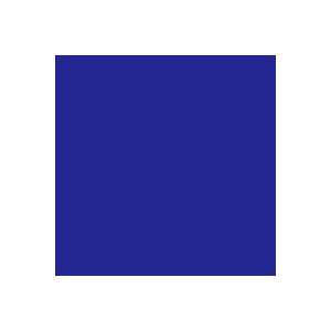  Rosco E Colour 120 Primary Blue Lighting Filter Gel Sheet 