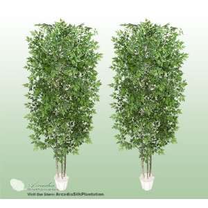  TWO 7 Artificial Ming Arelia Trees with Real Wood Trunks 