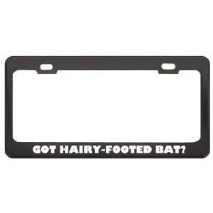 Got Hairy Footed Bat? Animals Pets Black Metal License Plate Frame 