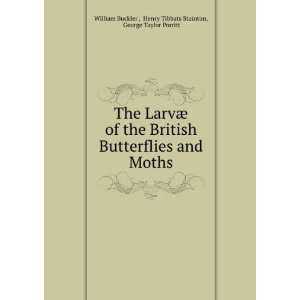   and moths. William Stainton, H. T. ; Porritt, Geo. T. Buckler Books