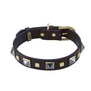  Dosha Dog   Rock & Roll Brown Leather Dog Collar With 
