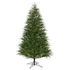  10 x 69 Hemlock Pine Tree 3415 Tips