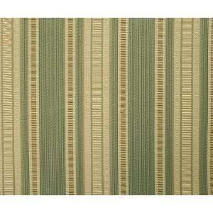  1889 Hendley in Willow by Pindler Fabric