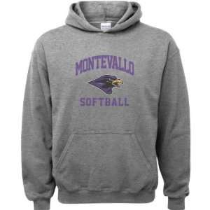 Montevallo Falcons Sport Grey Youth Varsity Washed Softball Arch 