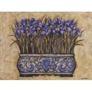  Blue Irises   Poster by Eva Misa (24x18)