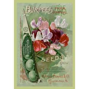    The Best Seeds That Grow 12x18 Giclee on canvas