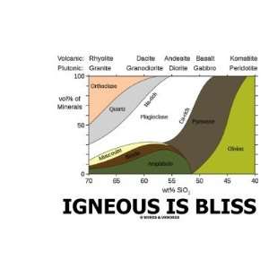 Igneous Is Bliss (Geology Ignorance Is Bliss) Mug 