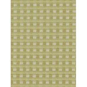  Cortinada Palm by Robert Allen Fabric