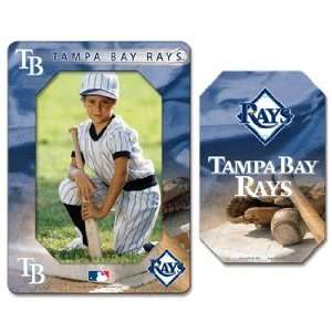 MLB Tampa Bay Rays Magnet   Die Cut Vertical  Sports 