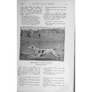  1909 Antique Portrait Famous Hound Dog Bluecap Sport