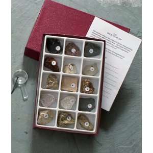  Luster Collection of Minerals