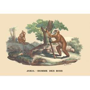  Joko   Homme des Bois (Monkey) 28X42 Canvas Giclee